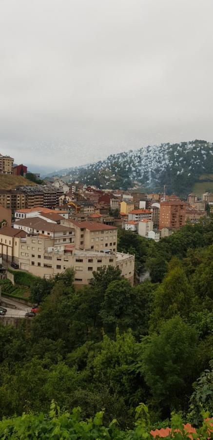 Hotel Alina Cangas De Narcea Εξωτερικό φωτογραφία