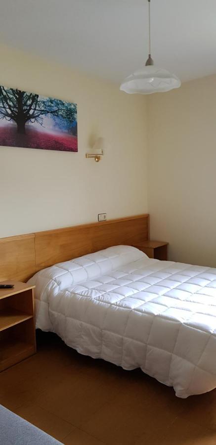 Hotel Alina Cangas De Narcea Εξωτερικό φωτογραφία