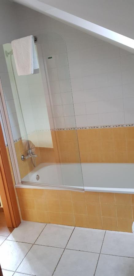 Hotel Alina Cangas De Narcea Εξωτερικό φωτογραφία