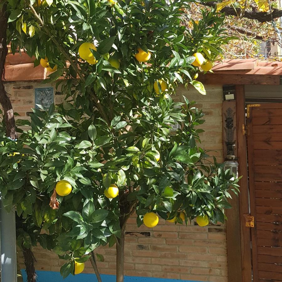 Hotel Alina Cangas De Narcea Εξωτερικό φωτογραφία
